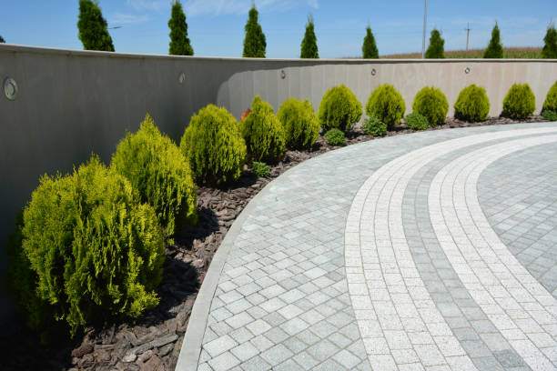 Best Driveway Pavers Near Me  in East Hemet, CA